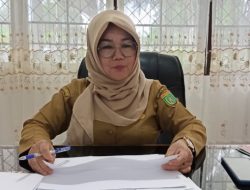 Kadis DSPMD: Pencairan Siltap 22 Desa Berjalan Lancar